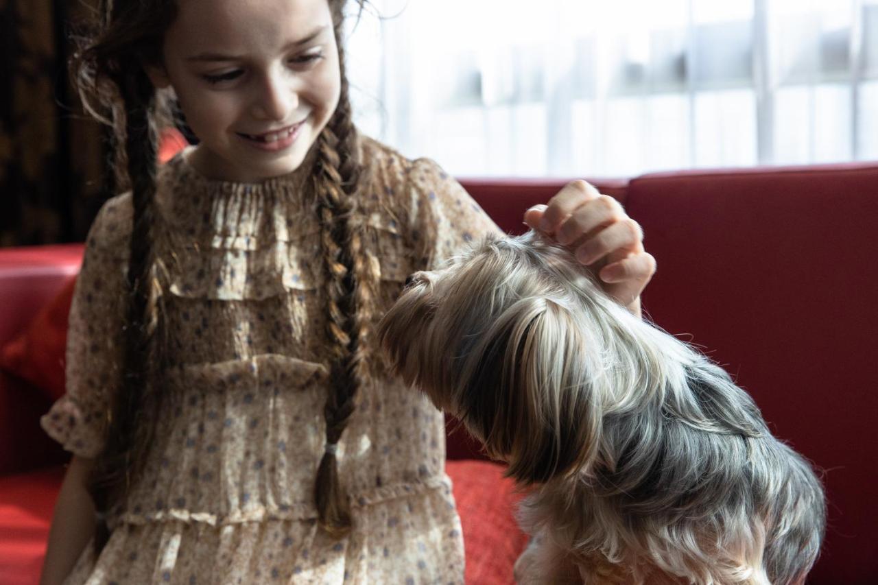 Jumeirah Creekside Dubai Esterno foto A girl with a dog