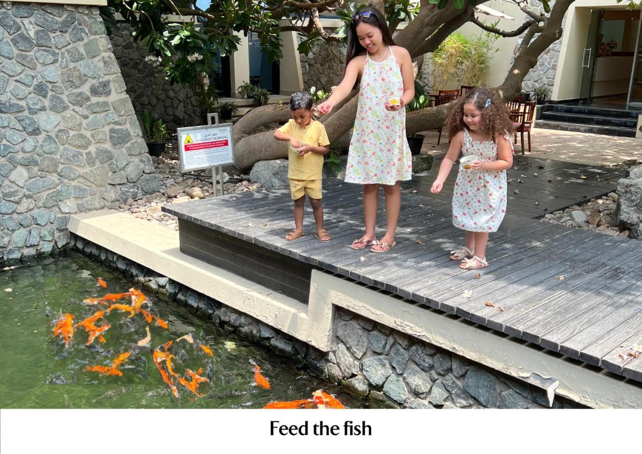 Jumeirah Creekside Dubai Esterno foto Feeding the fish